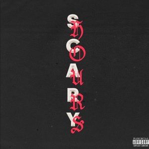 Meet your Posher, Gavin